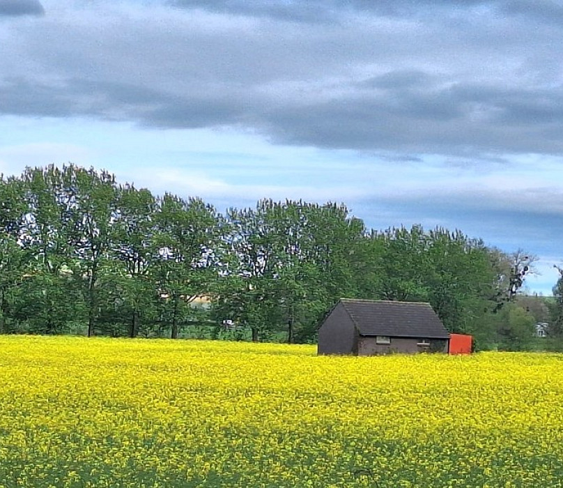 Afbeelding 1 in carrousel van Diensten / Services